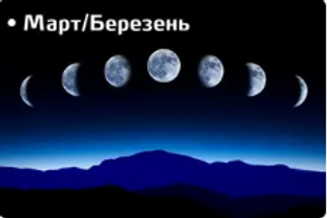 Місячний посівний календар городника та садівника 2023 рік: Березень