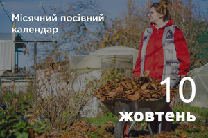 Місячний посівний календар городника та садівника 2024 рік: Жовтень