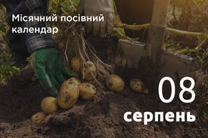 Лунный посевной календарь огородника и садовода 2026: Август