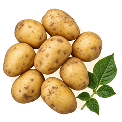 Картопля