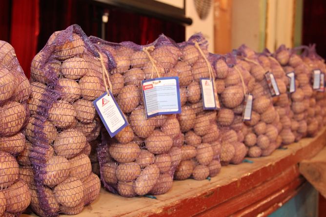 Картофель Рудольф (Фасовка: 2,5 кг)