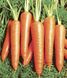 Морковь Вита Лонга (Фасовка: 50 гр)