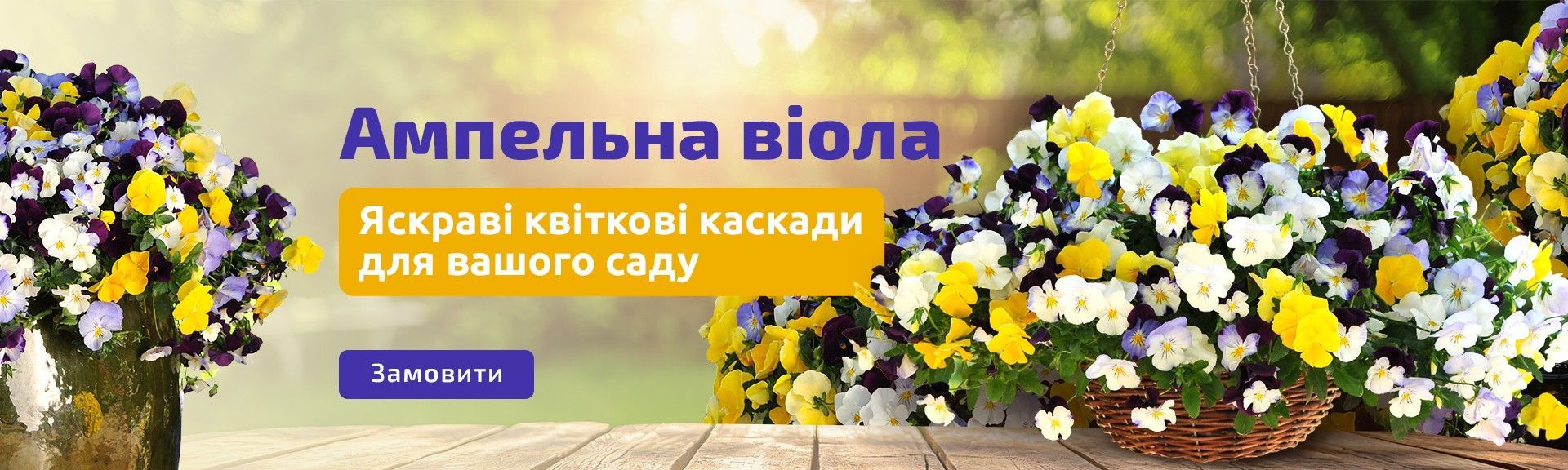 Віола головна