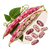 Семена фасоли