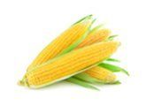 Семена сахарной кукурузи