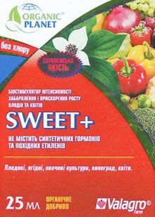 Світ