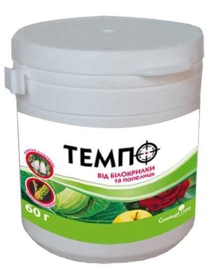 Темпо