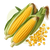 Семена сахарной кукурузи