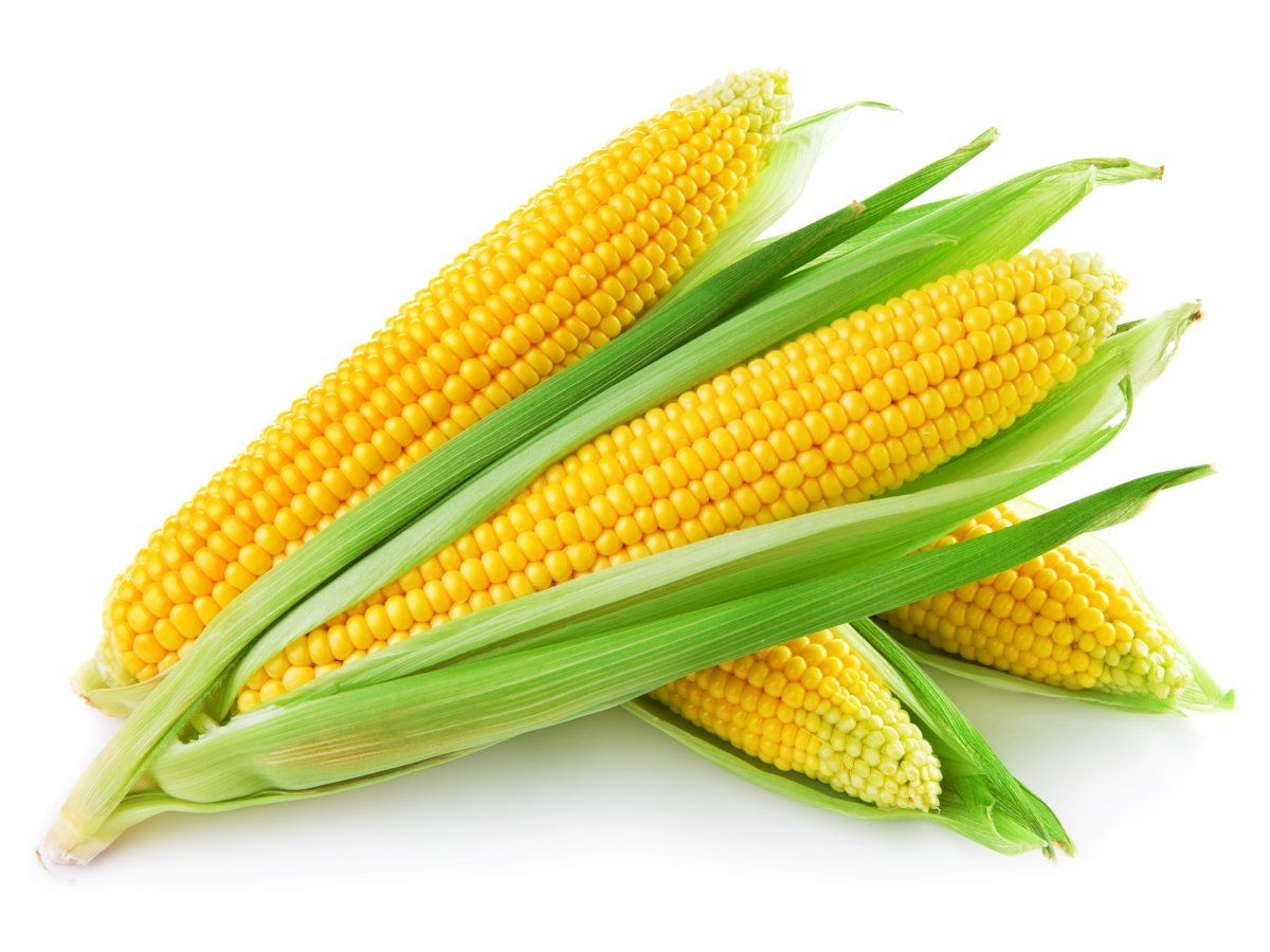 Яку підгодівлю любить кукурудза?