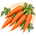 Семена моркови
