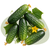 Семена огурцов