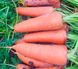 Морковь Каскад F1 (2,0-2,2 мм) (Фасовка: 25 000 шт)