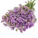 Статица КИС (Фасовка: 1000 шт; Цвет: lavender)