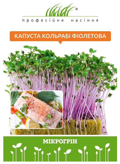 Микрозелень капусты кольраби фиолетовой