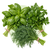 Семена пряных и зеленых культур