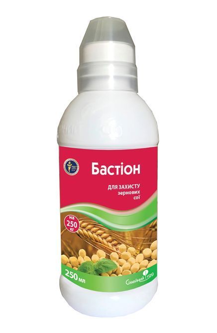 Бастіон