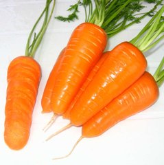Морковь Шантане (Фасовка: 500 г)