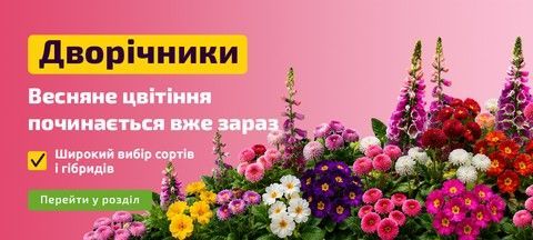 Дворічники