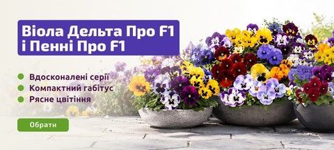 Віола Дельта Про F!
