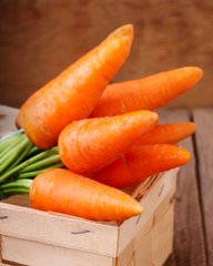 Морковь Каротель (Фасовка: 2 г)