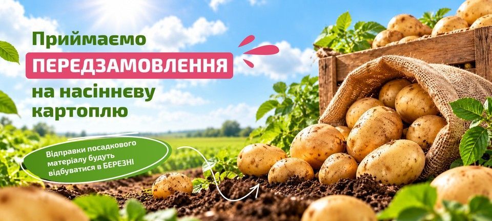 Передзамовлення на картоплю