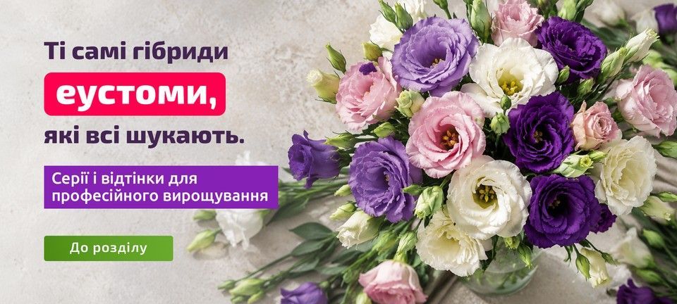 Еустома