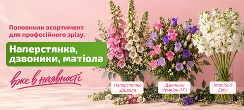 Квіти(наперстянка, дзвоники, матіола)
