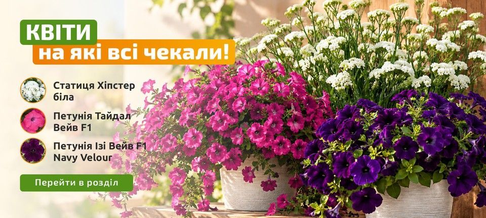 Однорічники поставка 15.10