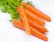 Морковь Перфекция (Фасовка: 20 г)
