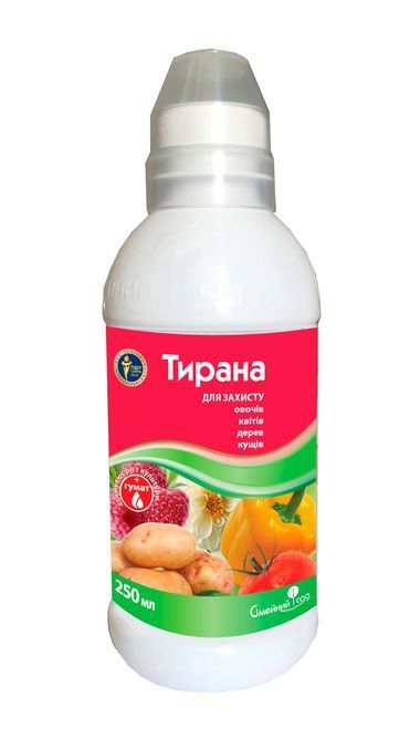 Тирана