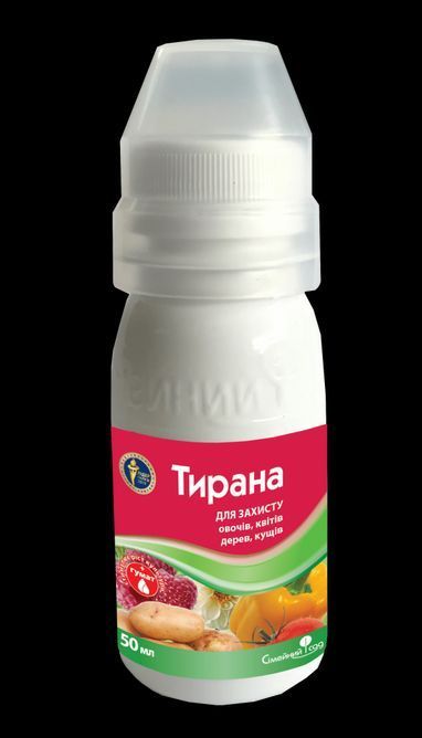 Тирана