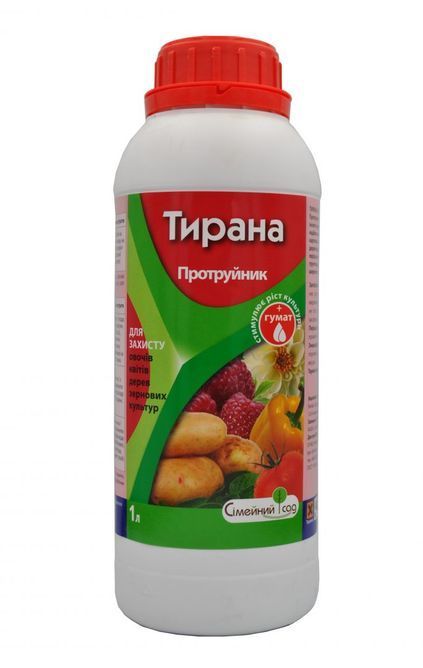 Тирана