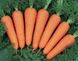 Морковь Канада F1 (2,0-2,2 мм)