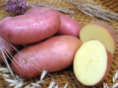 Картопля Ред скарлет (Фасовка: 5 кг; Колір: червоний)