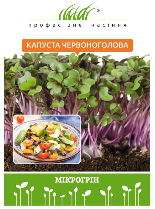 Микрозелень капусты красноголовой