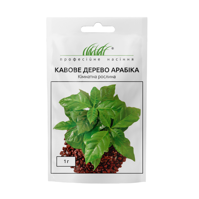 Кофейное дерево Арабика