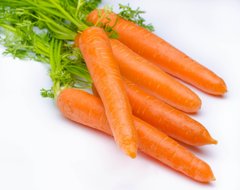 Морковь Перфекция