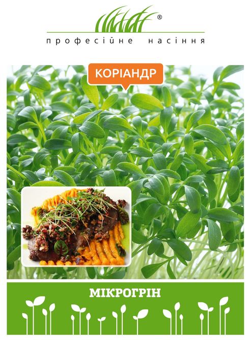 Микрозелень кориандра