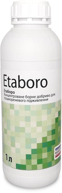 Етаборо (Etaboro)