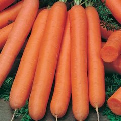 Морковь Флакке (Фасовка: 2 г)