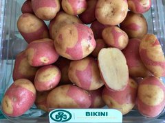 Картофель Бикини (Фасовка: 5 кг)