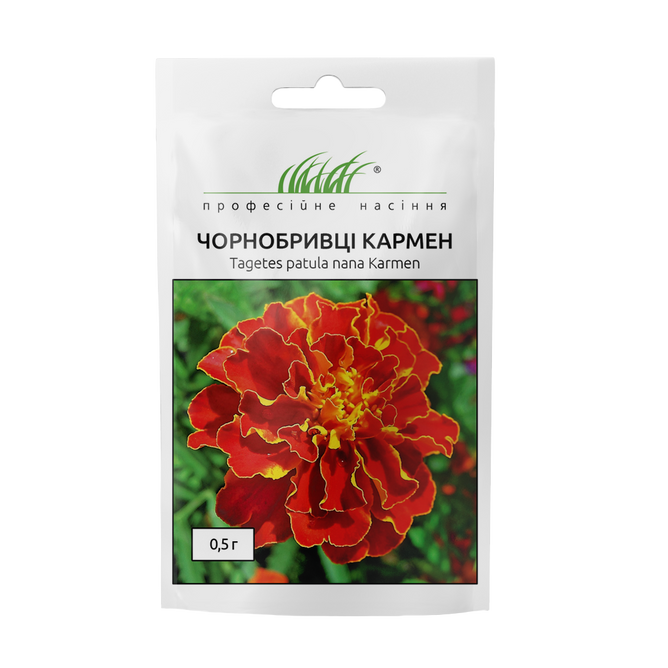 Чорнобривці розлогі Кармен
