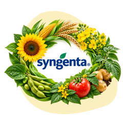 Рішення від Syngenta