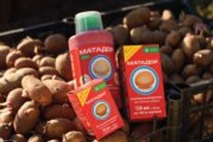 Матадор – надежная защита картофеля