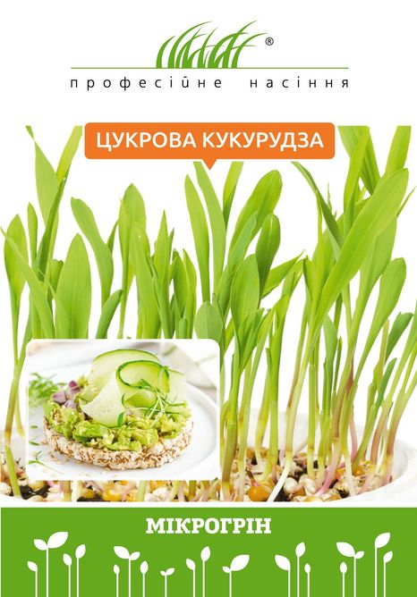 Мікрозелень цукрової кукурудзи