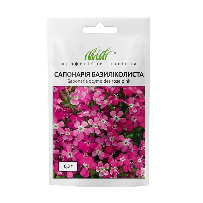 Сапонария базиликолистная