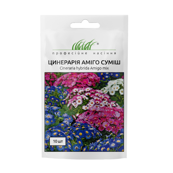 Цинерария (перикаллис) Амиго смесь