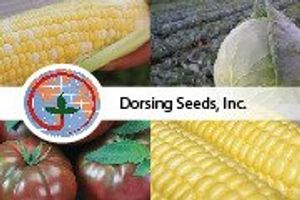 ТМ "Професійне Насіння" - официальный дистрибьютор компании Dorsing Seeds
