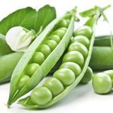 Уход за растением: Рекомендации и советы