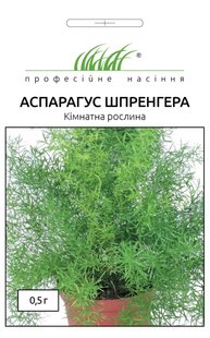 Аспарагус Шпренгера (Фасовка: 0,5 г; Колір: білий)